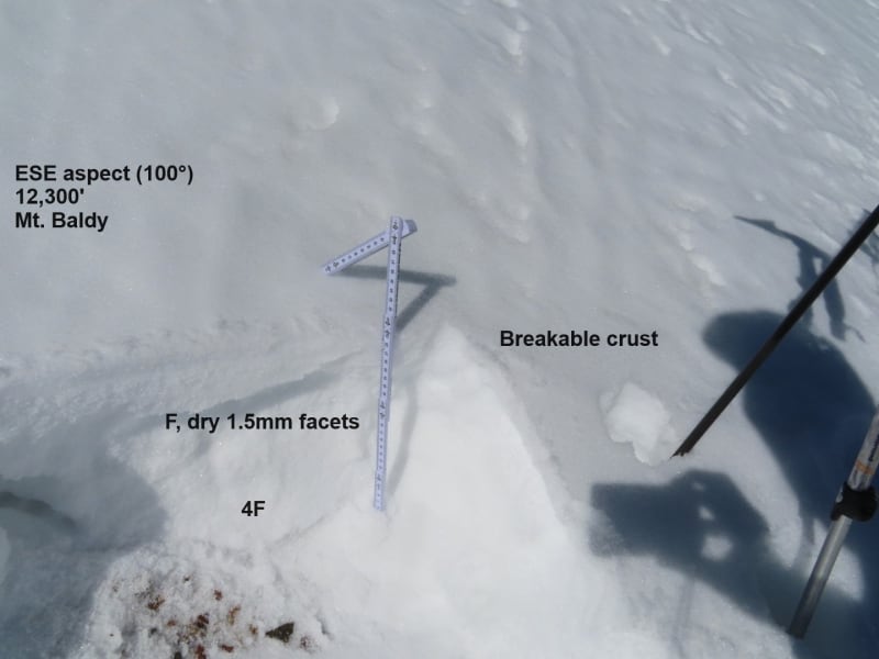 Observation photo 4