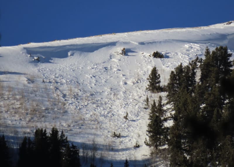 Observation photo 2