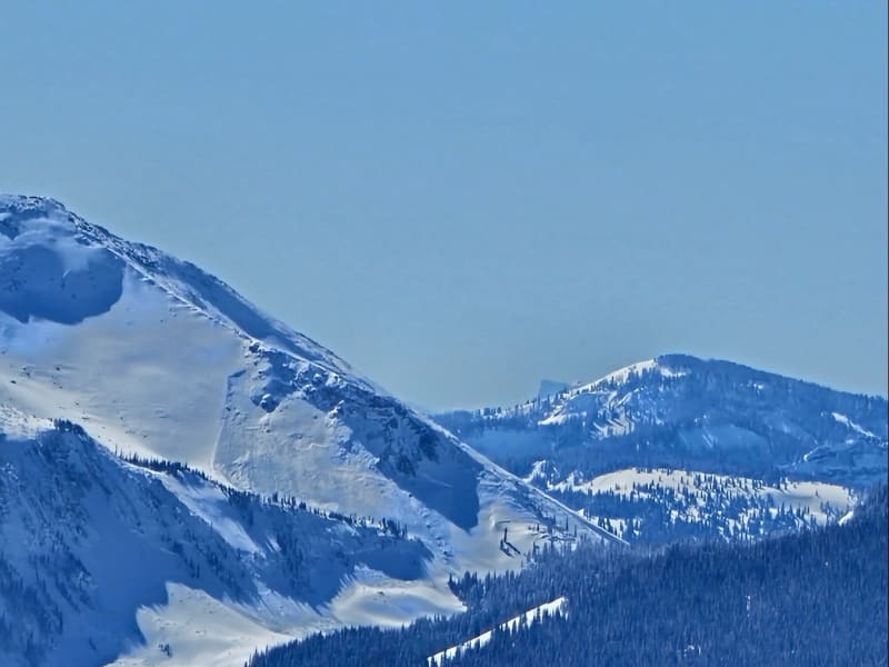 Observation photo 5