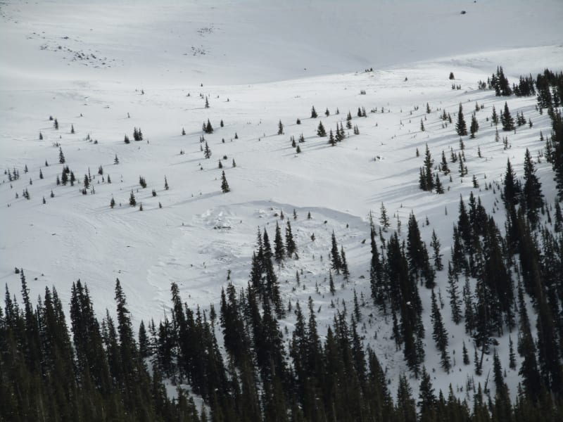 Observation photo 1