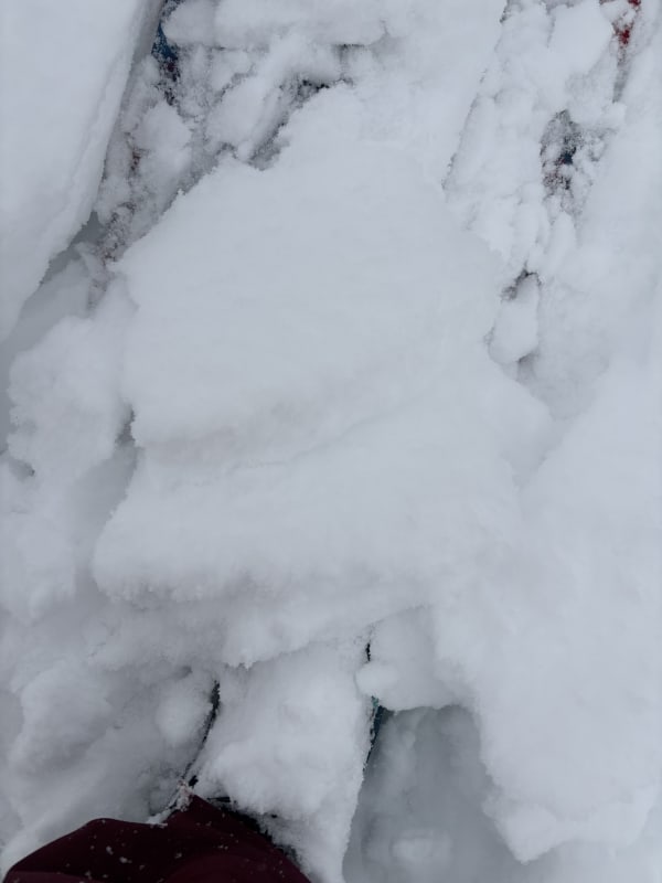 Observation photo 7