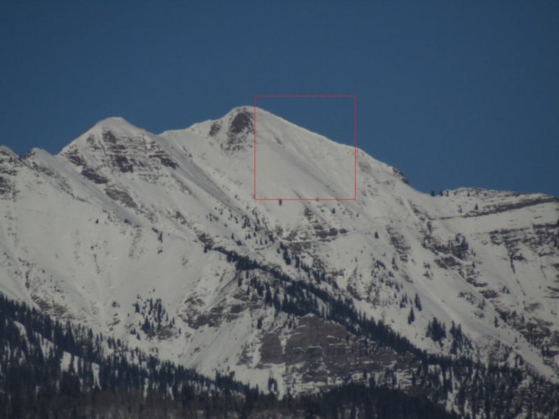 Observation photo 2