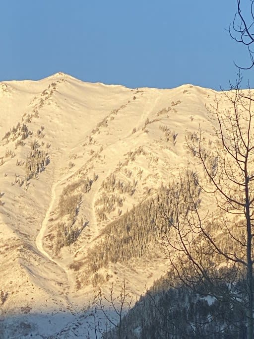 Observation photo