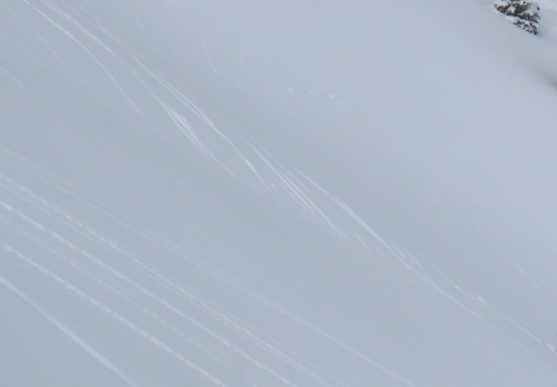 Observation photo 5