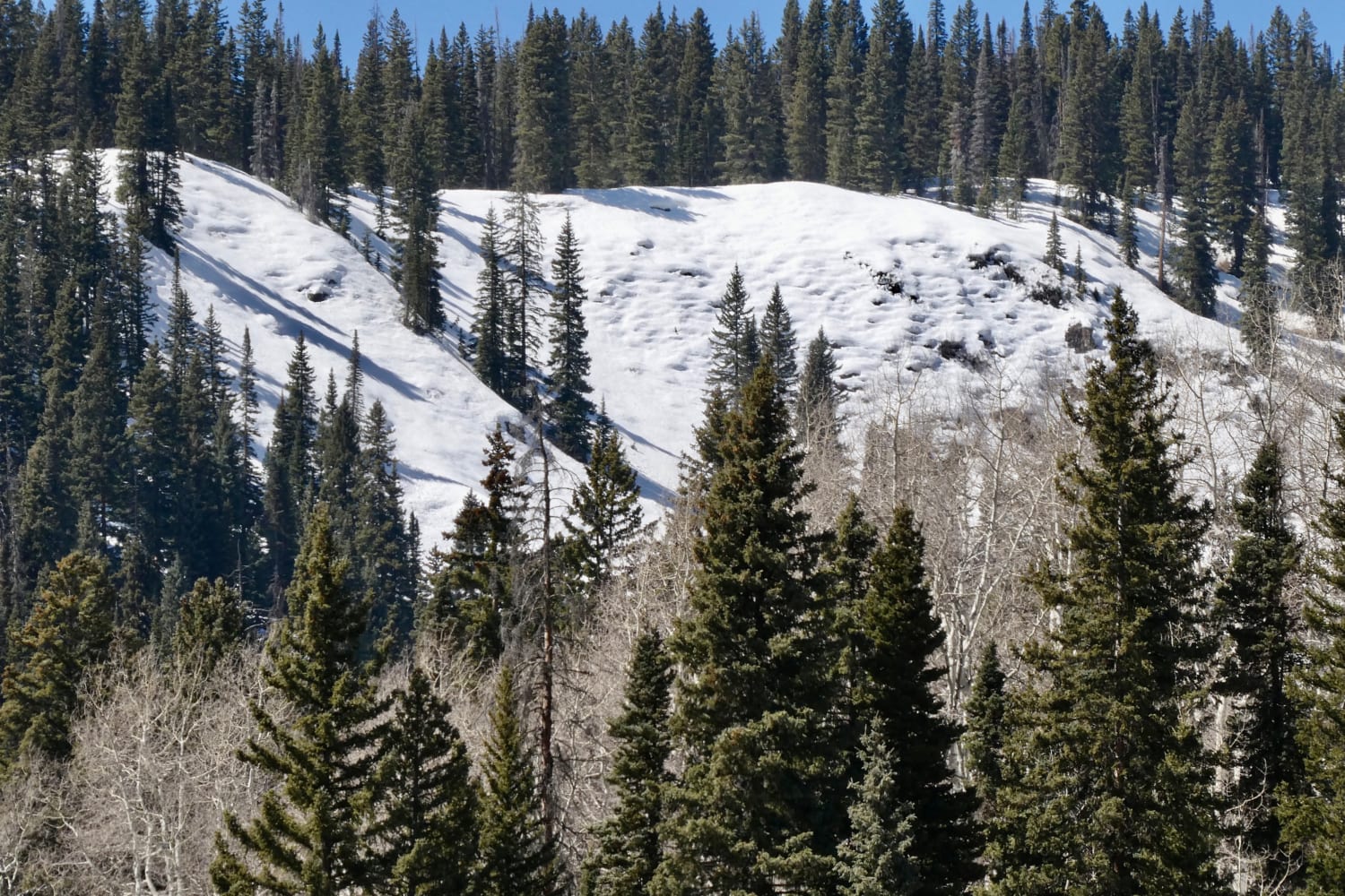 Observation photo