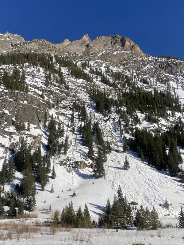 Observation photo 6