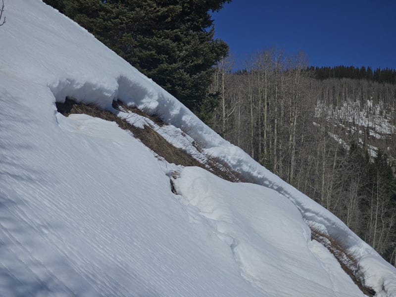 Observation photo 1