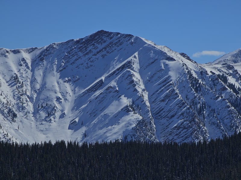 Observation photo 3