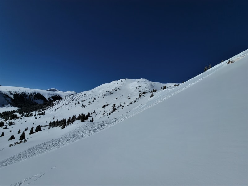 Observation photo 5