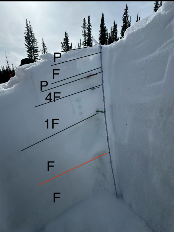 Observation photo 2