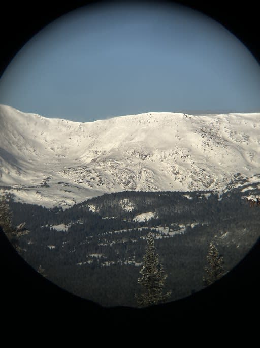 Observation photo 1