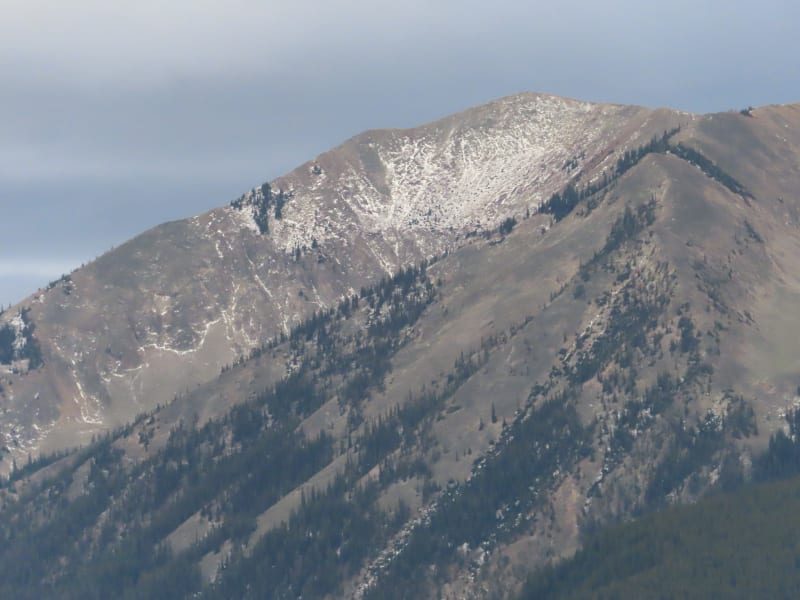 Observation photo 6
