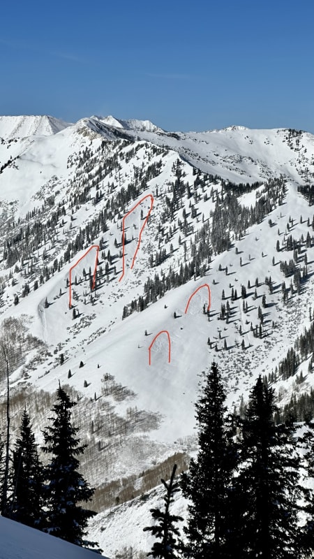 Observation photo 1