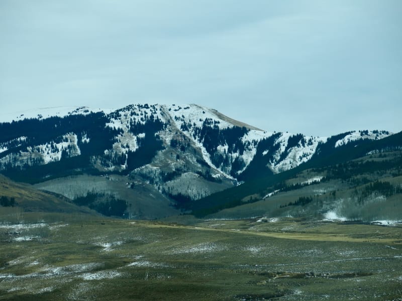 Observation photo 7