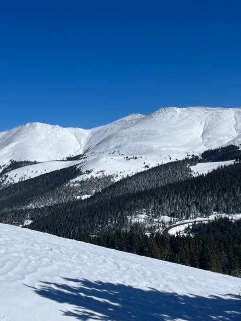 Observation photo 1