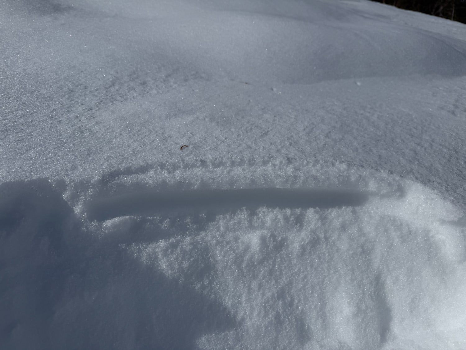 Observation photo