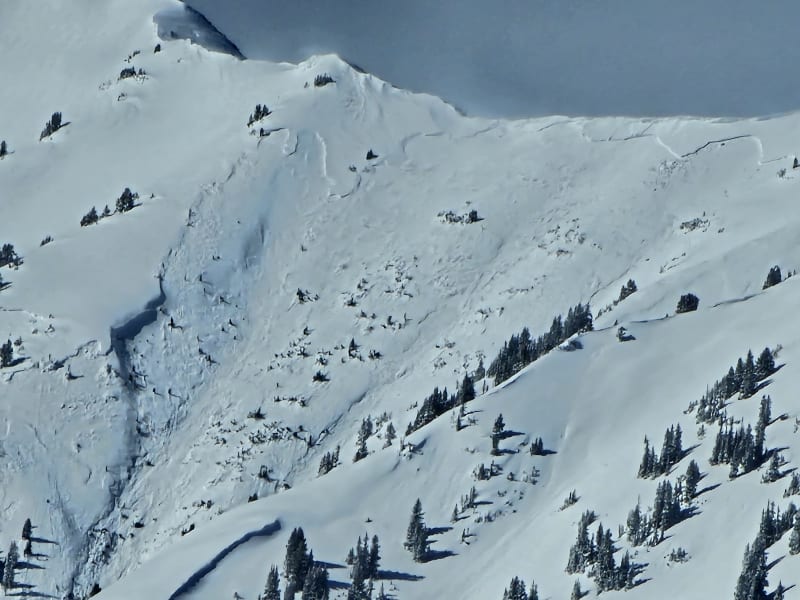 Observation photo 7