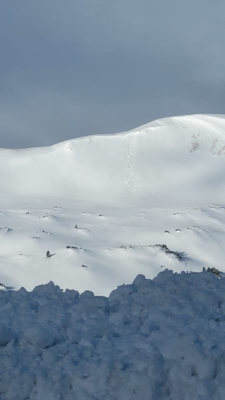 Observation photo 1