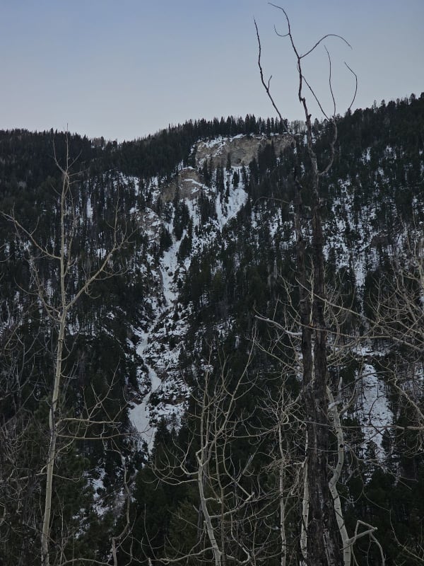Observation photo 3