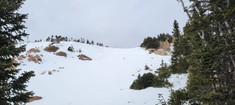 Observation photo 2