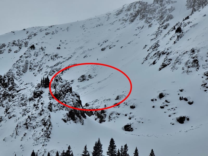 Observation photo 1