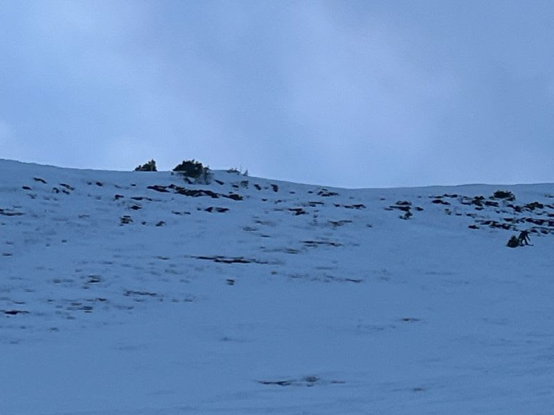 Observation photo 2