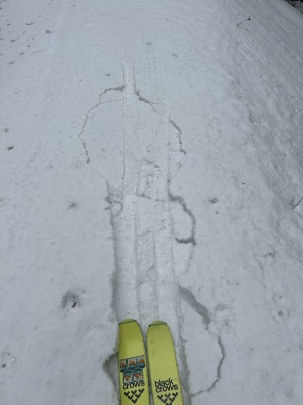 Observation photo 2
