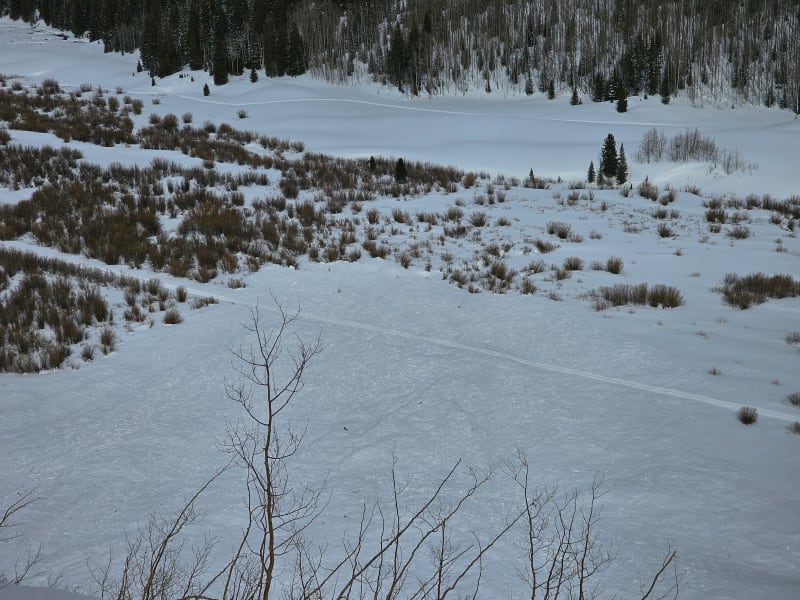 Observation photo 5