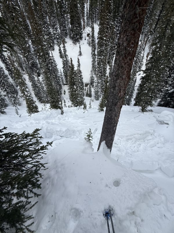 Observation photo 4