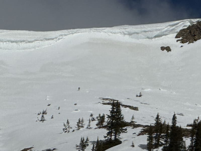 Observation photo 5