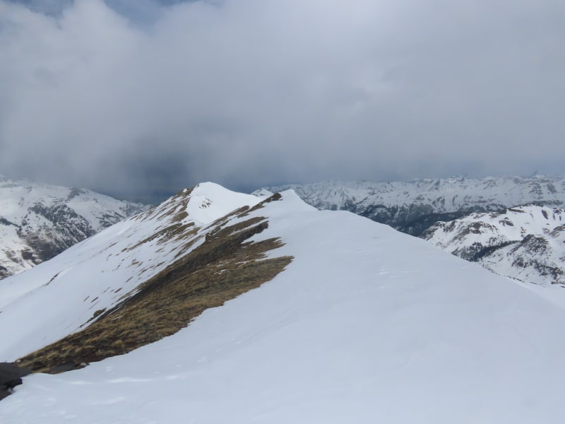 Observation photo 5