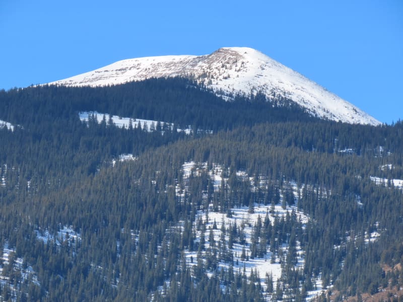 Observation photo 8