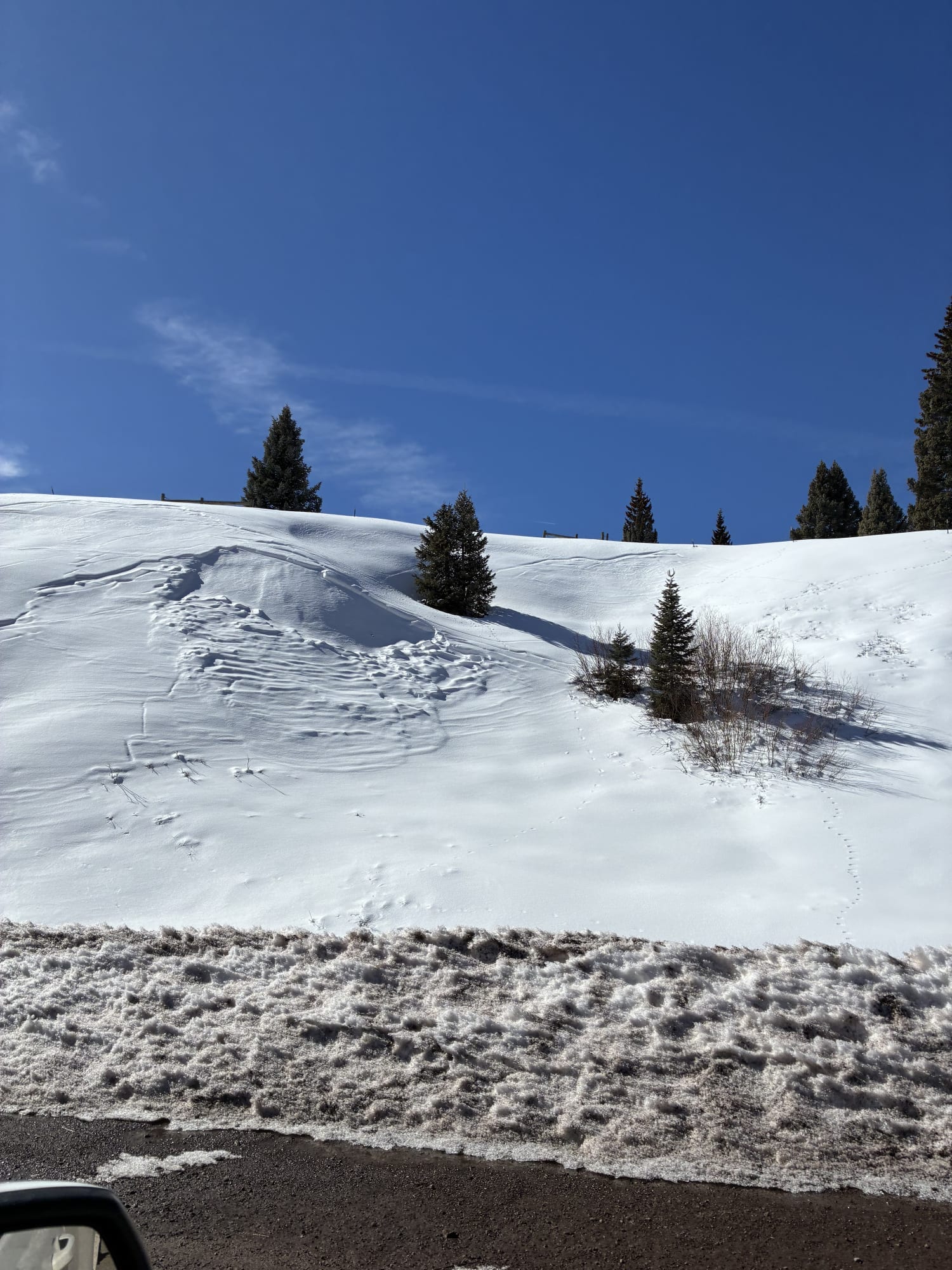 Observation photo