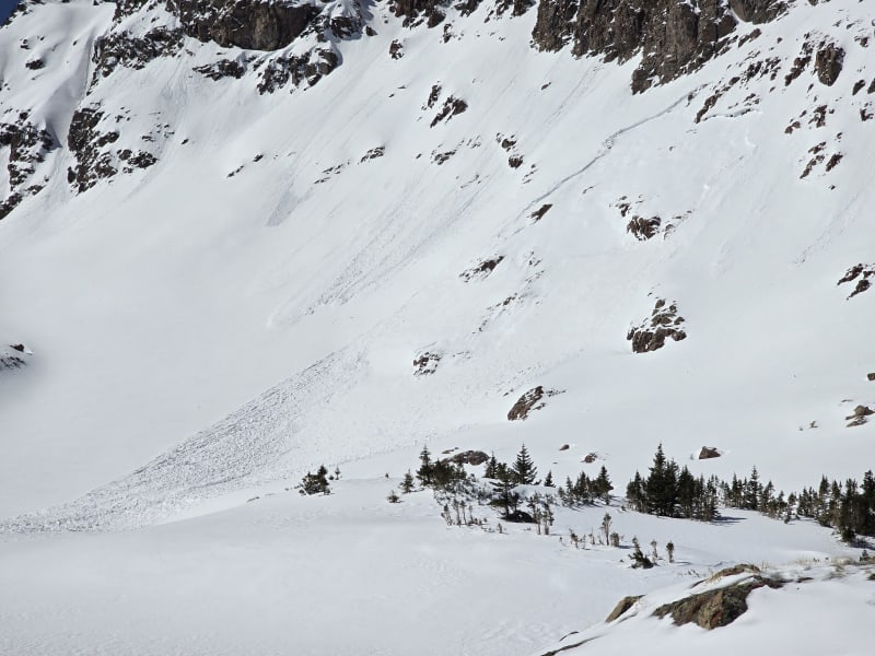 Observation photo 4