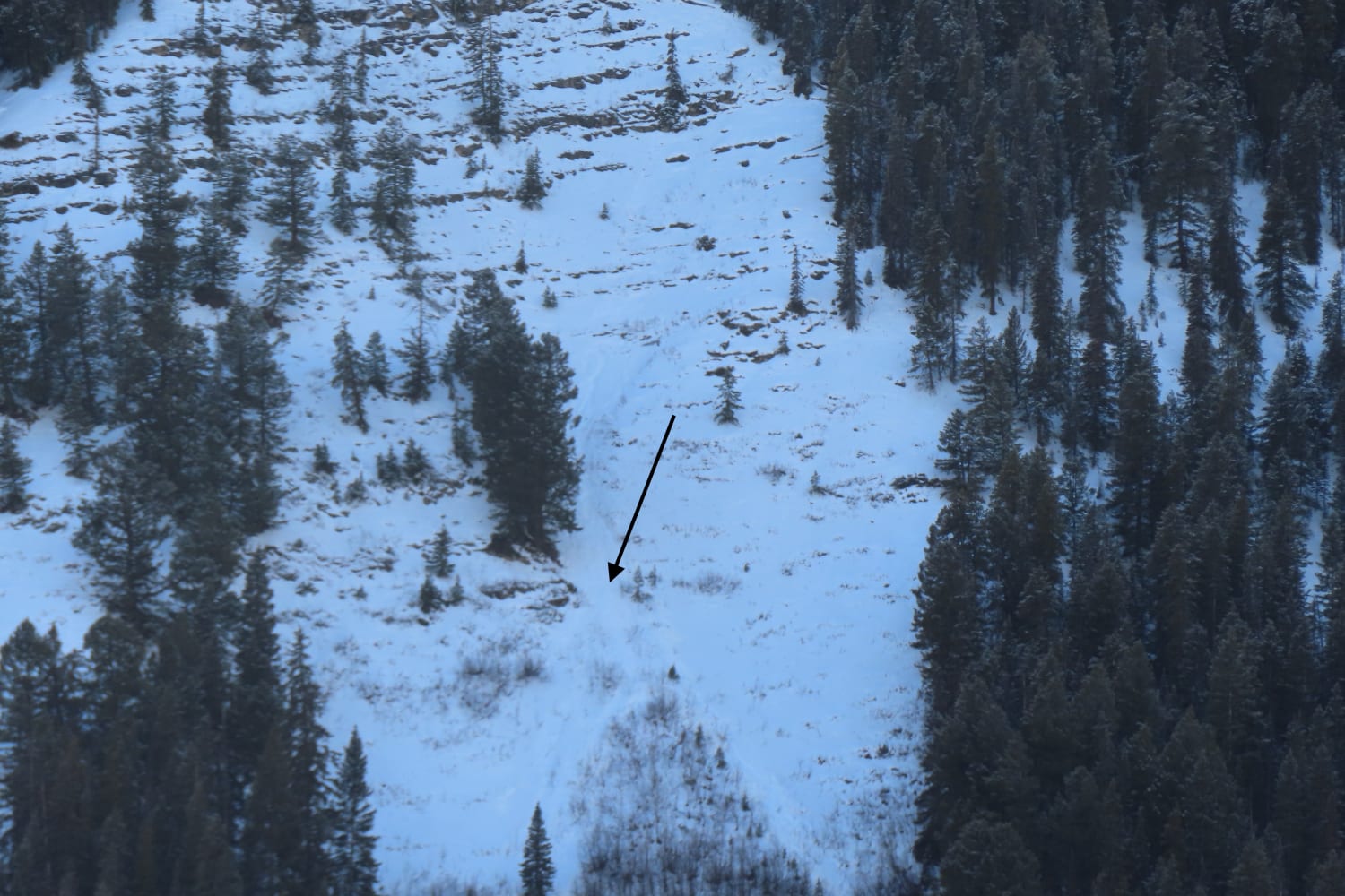 Observation photo