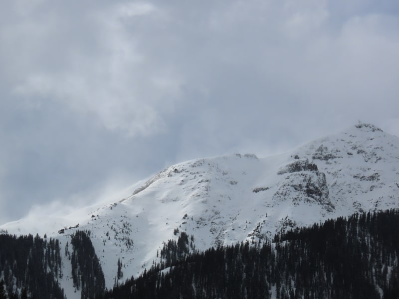 Observation photo 2