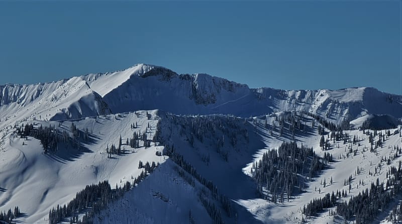 Observation photo 1