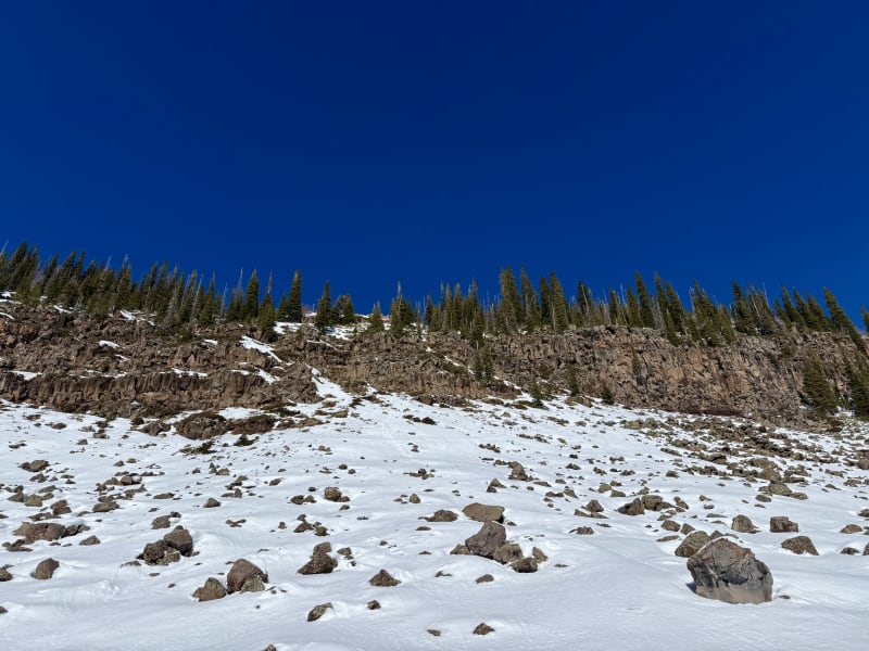 Observation photo 2