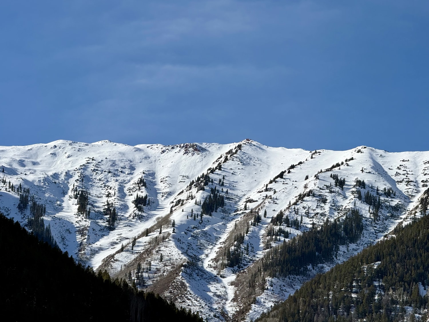 Observation photo