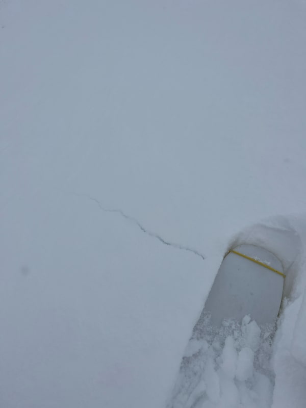 Observation photo 2