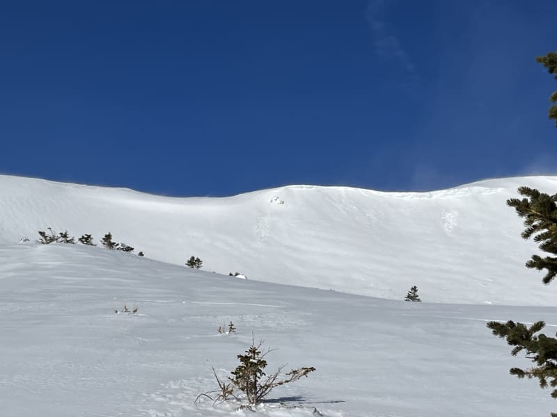 Observation photo 3