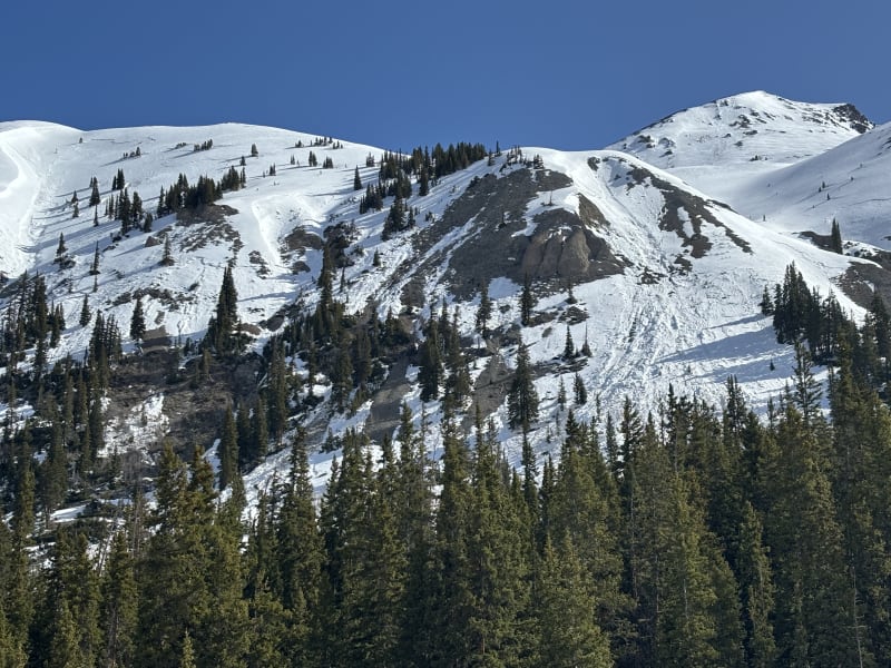 Observation photo 4