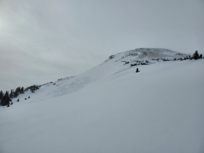 Observation photo 1
