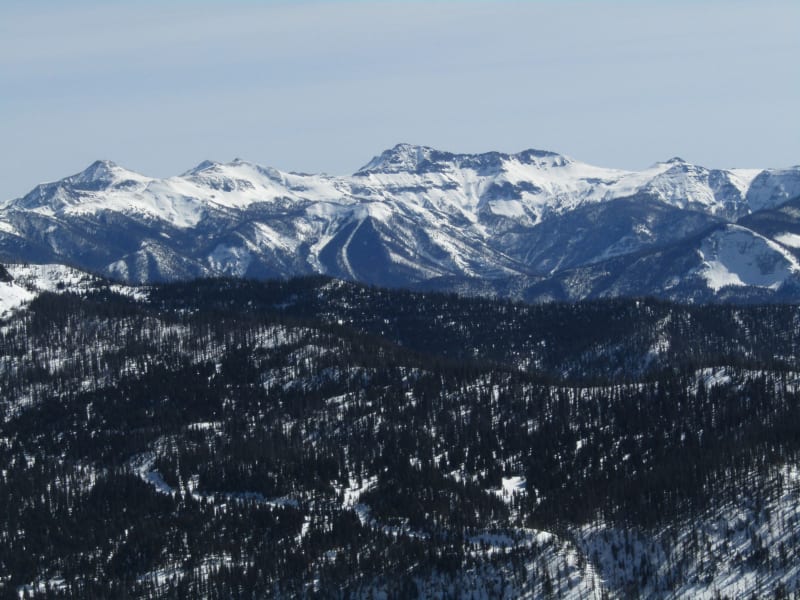 Observation photo 1