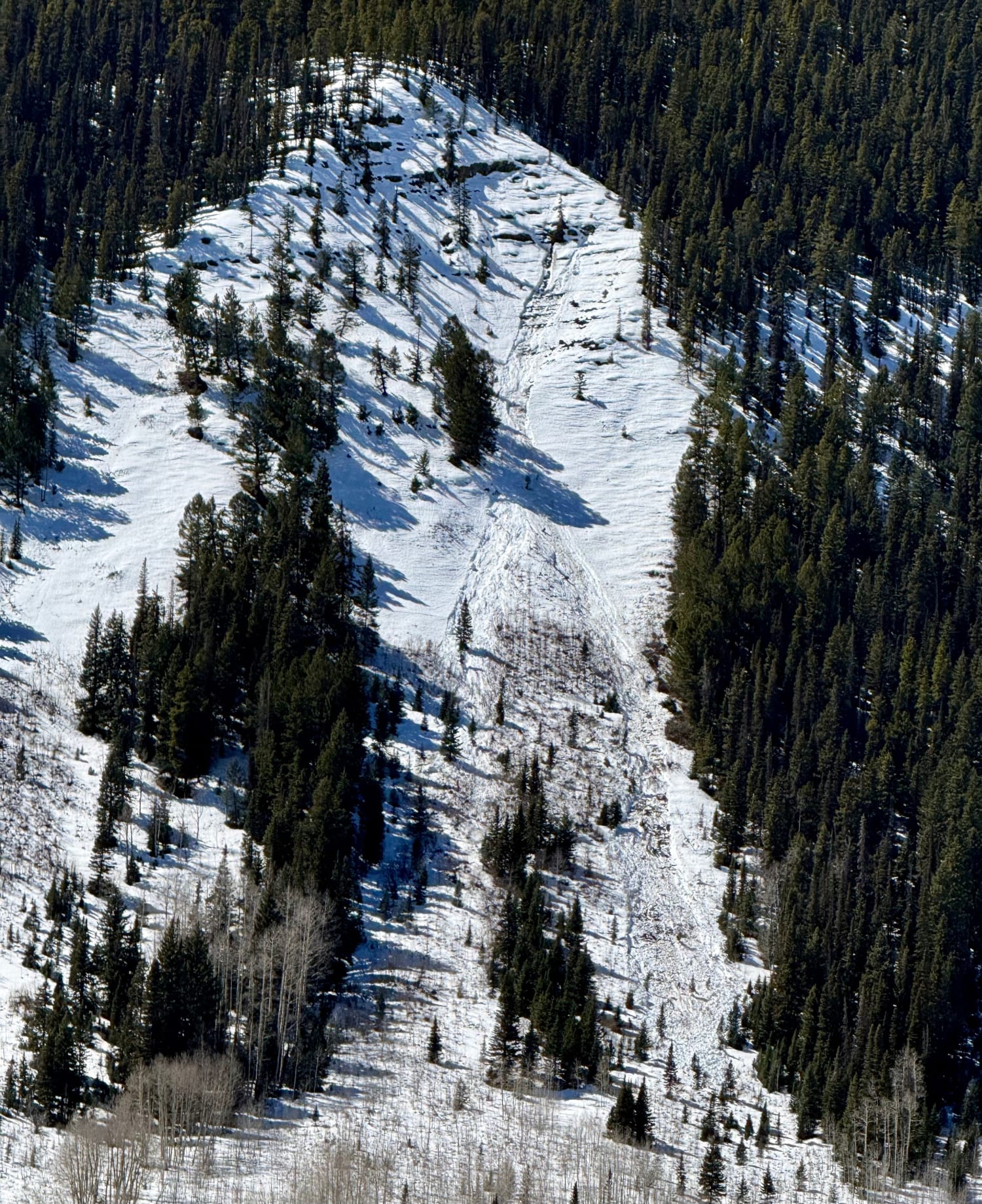 Observation photo