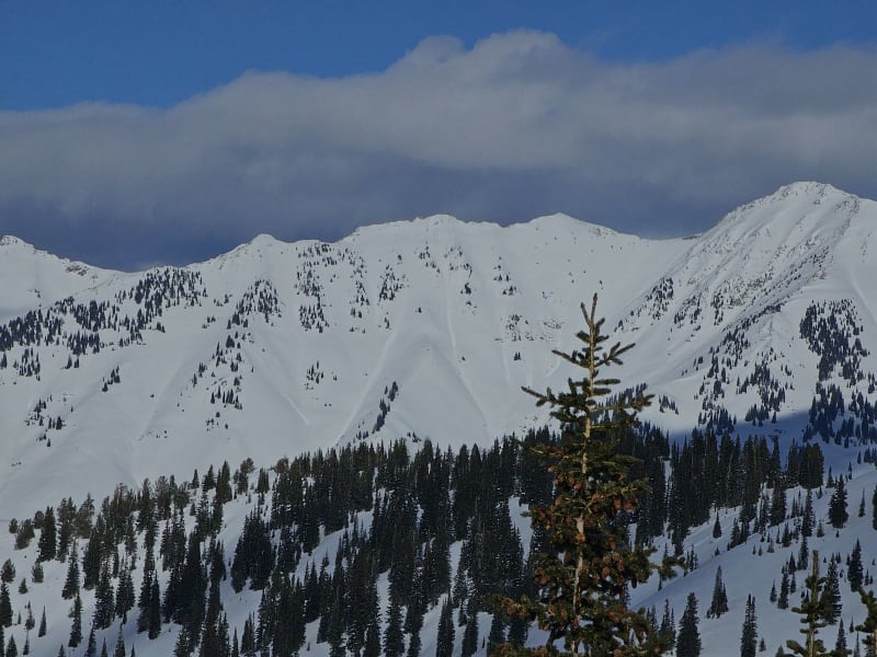 Observation photo 3