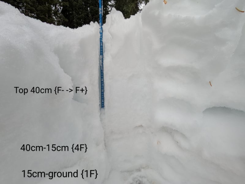 Observation photo 1