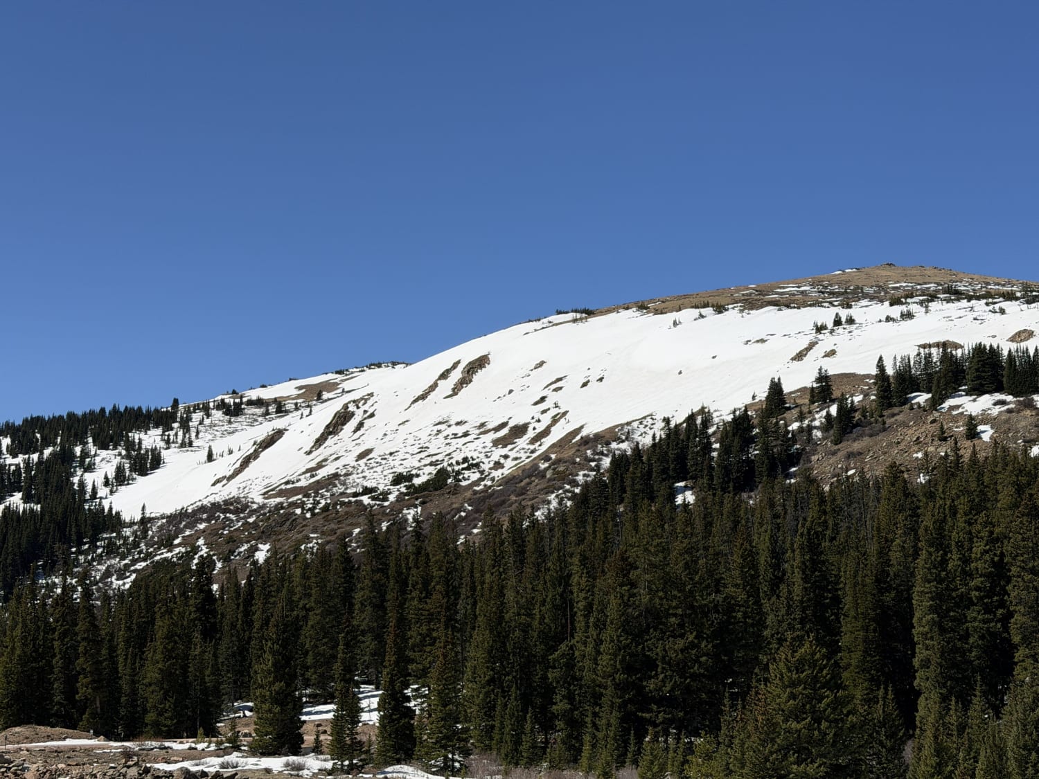 Observation photo