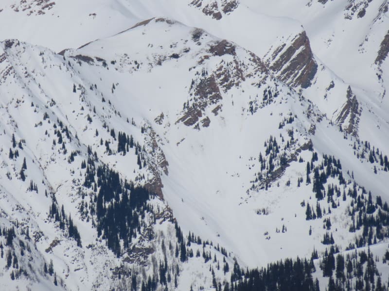 Observation photo 6