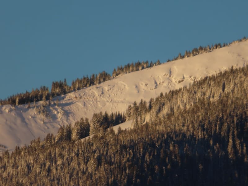 Observation photo 1